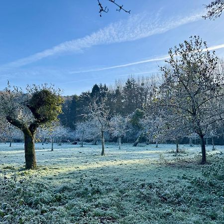 Les Gabelous - Micro-Gites - Viroinval Dourbes Buitenkant foto