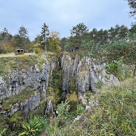 Les Gabelous - Micro-Gites - Viroinval Dourbes Buitenkant foto