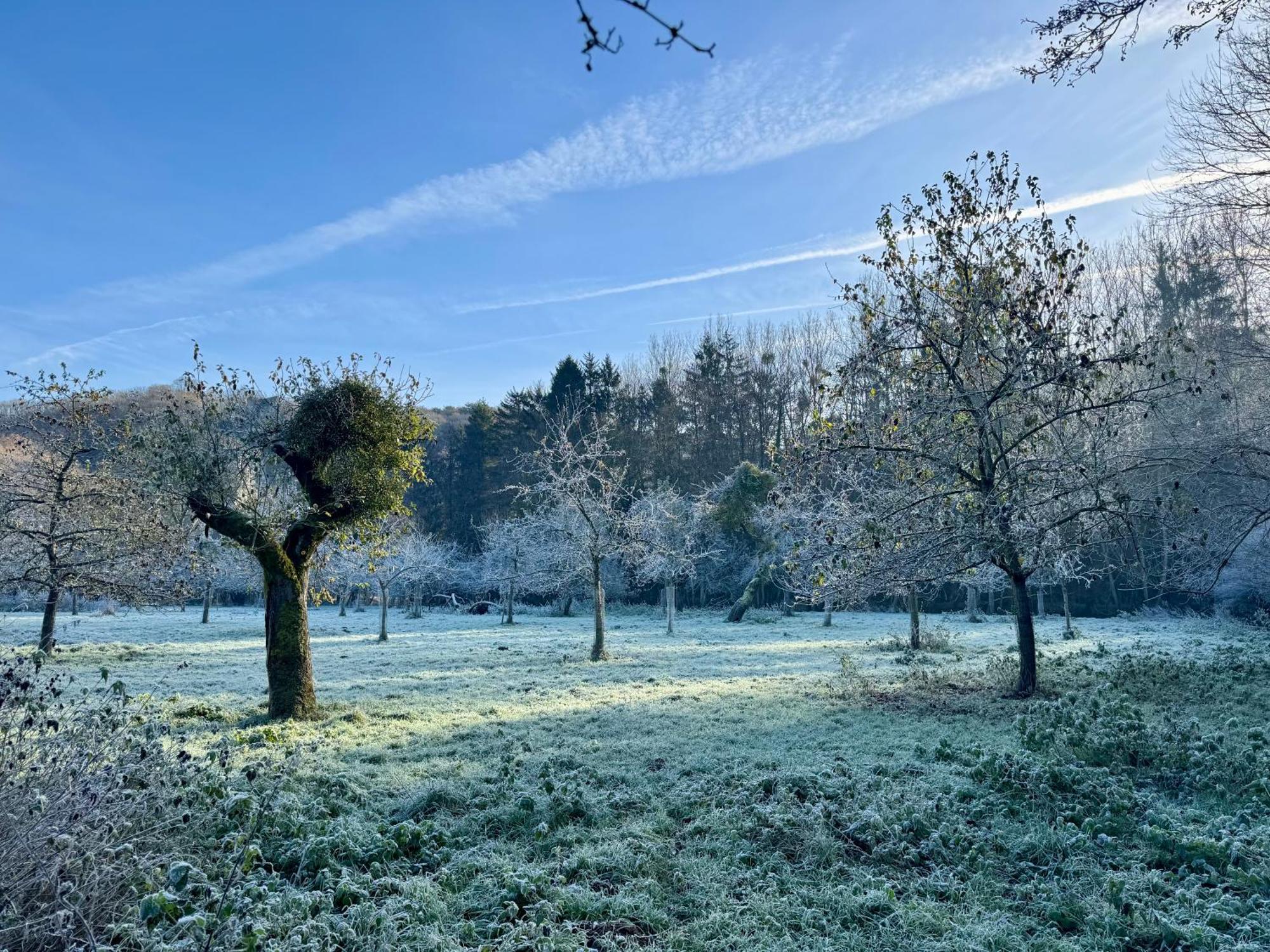 Les Gabelous - Micro-Gites - Viroinval Dourbes Buitenkant foto